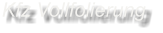 Kfz Vollfolierung